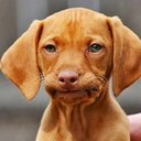 Bailey Koenig - @bailey_blitz - Twitter