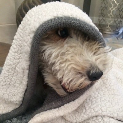 thehenrywatson's profile image