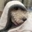 thehenrywatson's profile image