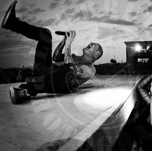 driynesne's profile picture. wine shark, social mad, happy parent