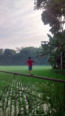 cartonoz's profile picture. 