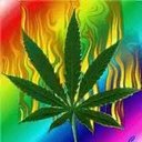 Chris Birchall-mann - @LoRdOfDwArVeS - Twitter