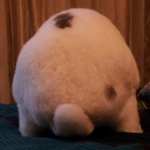 Liquide_de_Frei's profile picture. 