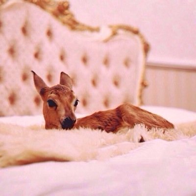 انا شخصيه اجمع الكثير من التناقضات /اعيش في ارض الخيال لانها افضل كثير من الواقع  وشكرا