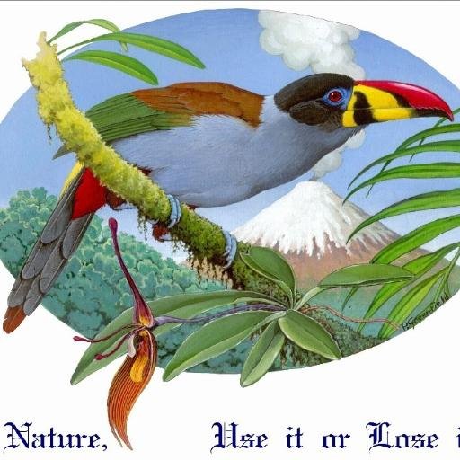 GREATEST THREAT TO CONSERVATION OF NATURE: RANGER SHORTAGE IN NATIONAL PARKS IN THE TROPICS. ADOPT-A-RANGER FINANCES RANGERS. #followback #F4F #TFB #FF