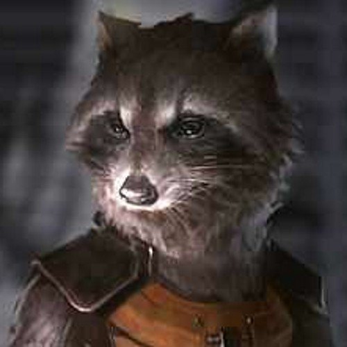 I'm not your ordinary Raccoon, I'm a military specialist but I'm at college right now so that's irrelevant #CollegeAU #RP