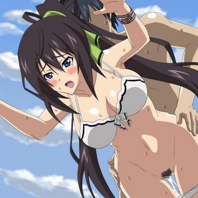 Is インフィニットストラトス エロ画像 Is Ero Ero のツイプロ