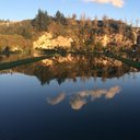 carol lane - @Cazzie2Lane - Twitter