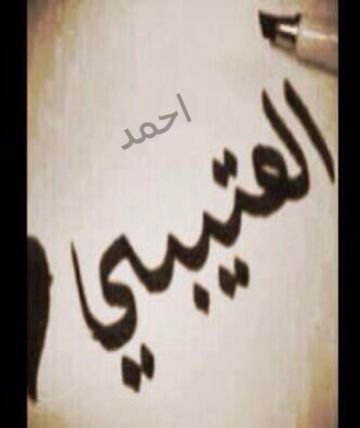 ‏‏صقر نجد