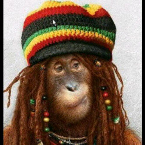 poo_tshepo's profile picture. Loves Jamaican dancehall music