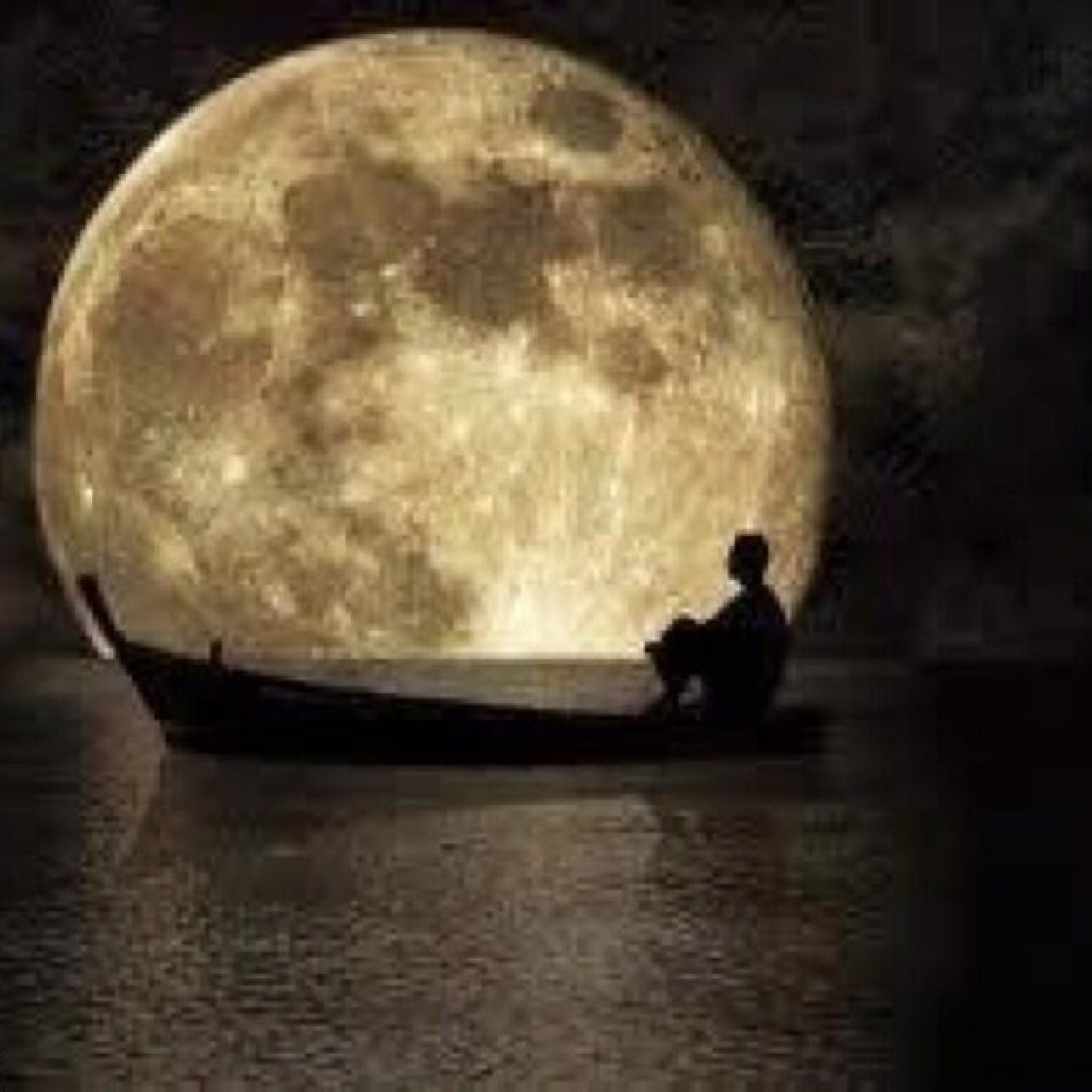 me_srab's profile picture. الخاص ممنوع ..صرخاتي الجنونية التي اكتبها احياناًوربما لا أعنيها  (هي مجرد فضفضه لا اكثر)كثير من التناقض والعاطفه )