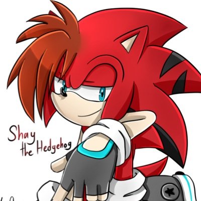 Theres no one stoping me im shay the hedgehog! #taken RL @JaniyJh RP #single