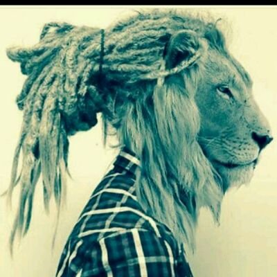 deeznuttz6's profile picture. What's goes'n on lol