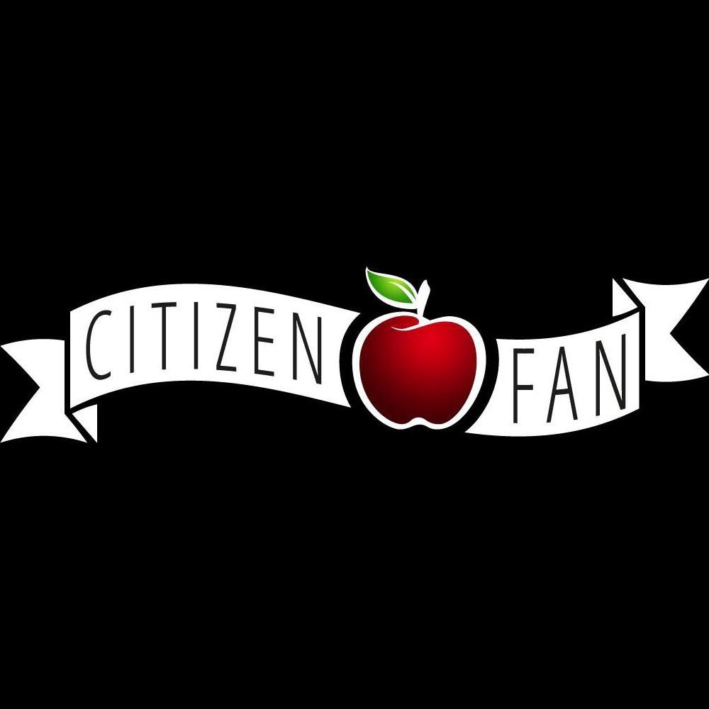 Citizen Fan était un webdoc de @gaptiere sur les fans et leurs créations. Les vidéos des interviews des personnages sont désormais visibles sur Viméo.