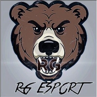 rG_eSport est une equipe semi-pro,elle est sur le psn. Jeu:bo2 
Elle est compose de :
rG_Naslaa
rG_Nigthy
rG_Ferox
rG_Dawaii