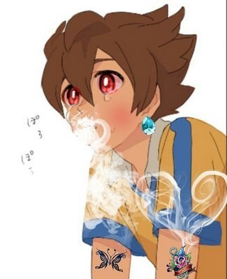 Arion Sherwind / Centrocampista de el Raimon / Capitán del Raimon / Ojos azules y 14 años / FAViolador PRO / ~Kurama~