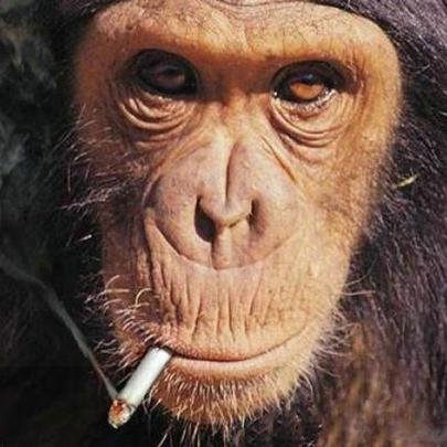 smallorebanana's profile picture. 6時起き辛男。