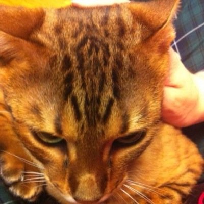 2020年も笑って過ごせるように毎日感謝して生きよう！