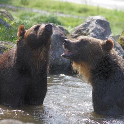 wmochizuki1's profile picture. 1児の父。趣味は将棋、スマホ、デリヘル、酒、タバコ、寝ること、食べること。悩みや思いをツイートします。