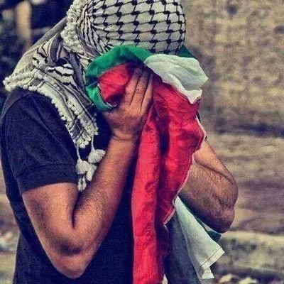 محمد كويك
