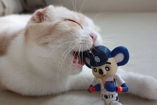 ☺