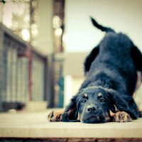 Jessica Rueda  (@jessicarueda10) 's Twitter Profile