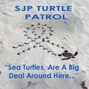 GulfTurtle's profile picture. 