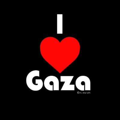 I pledge allegence to #Palestine #Iraq #Syria and any other country occupied or opressed.