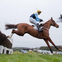 Midlands Pointing (@midlandsp2p) 's Twitter Profile