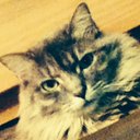 Caleb Bayer - @c_bayerkk - Twitter