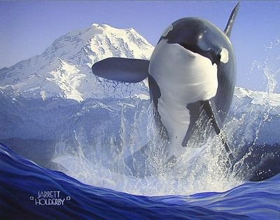 French and Vegan Sea Shepherd fan, whaler and poacher killer