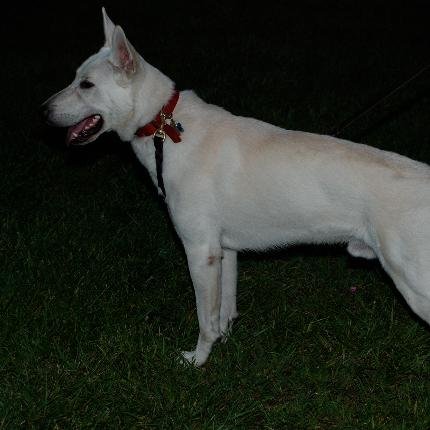 djdrewlukesdad's profile picture. Soccer coach, BBQ smoker, Cook, Dad, Fish Keeper