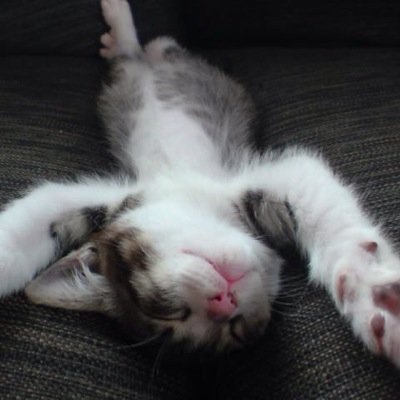 andalucia0133's profile picture. 