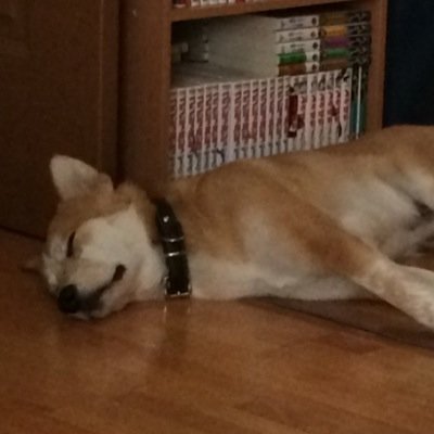 弓人