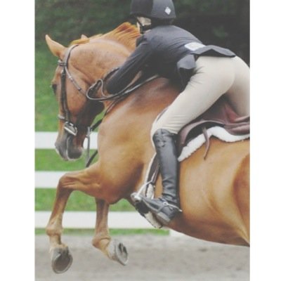 AQHA proud