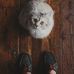 AB5911's profile picture. люблю грей и чай