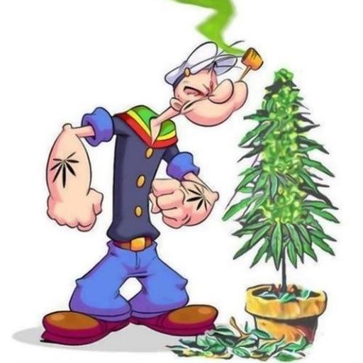 #ColoradoMMJ is your one stop trusted source for information about #Colorado #medical & #recreational #marijuana #cannabis. Find out what they're not telling u!
