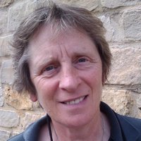 Kate Saffin (@nb_morningmist) 's Twitter Profile
