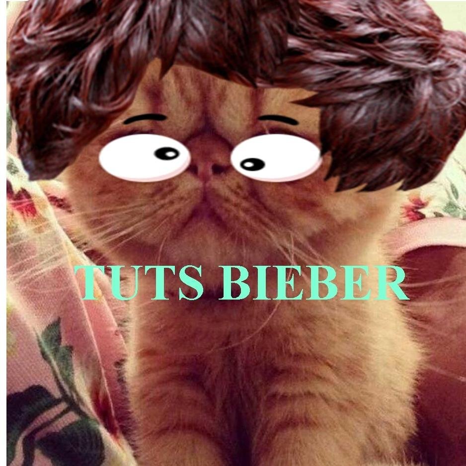 Download @shots and tell your friends.  Real Account: @Bizzlerauhllls @tutsbieberr  pls follow mee! @justinbieber pls follow mee!