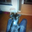 edwin bermejo  - @EdwinBermejoA - Twitter