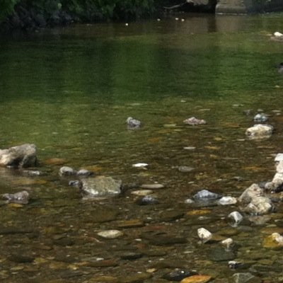 露出、乳首、耳、首、アナルとか全身性感帯かも。拘束されて玩具にしてください。ビビりなもんで、無言でいいねとかRTとかから絡んでますごめんなさい。 DM調教もカカオ調教もお願いします。お手柔らかにお願いします。リアルは平日休みなのが残念 170/60