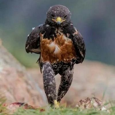 Profesional que lucha dia a dia para tener un país  mas seguro, un  futuro mejor para todos  ... un día a la vez... Dios nos fortalezca y proteja...