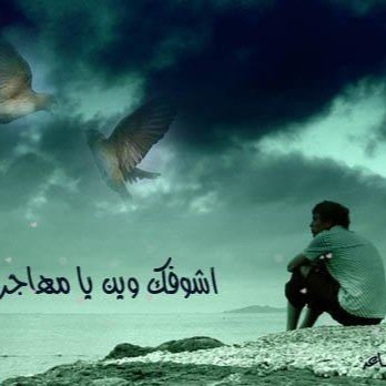 yamhajer's profile picture. 