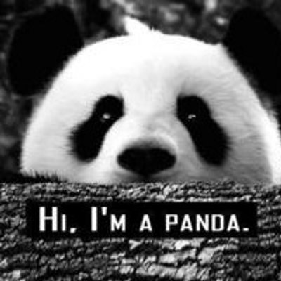 Avoir Images Humour De Panda Humourdepanda Twitter actualisé par