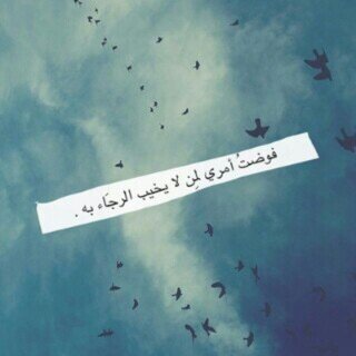 #المدينه_المنوره