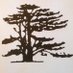 Andys Gardening (@andysgardening) Twitter profile photo