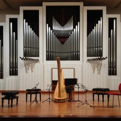 AmiciMusicaPadova Profile