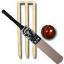 A cricket bat is an instrument that looks like a baseball bat run over by a steamroller.