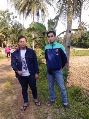 don't give up  baka boy | IT trainer suport