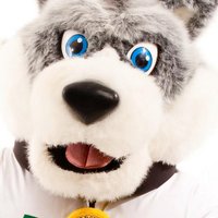 UofSOrientation (@uofsorientation) 's Twitter Profile